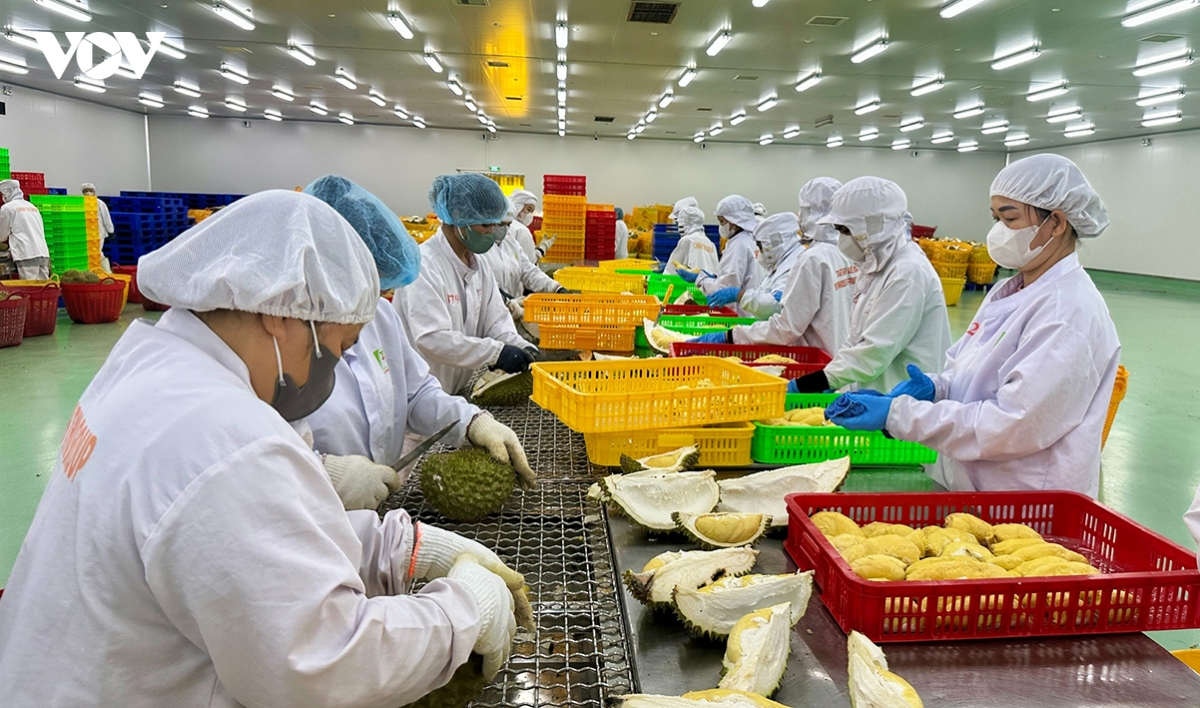SPS changes become new test for Vietnam’s agricultural exports